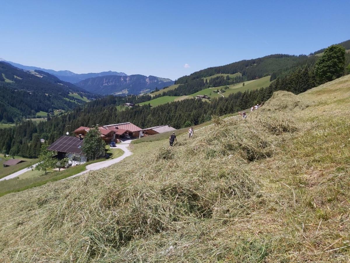 Prädastenhof Auffach Exterior foto
