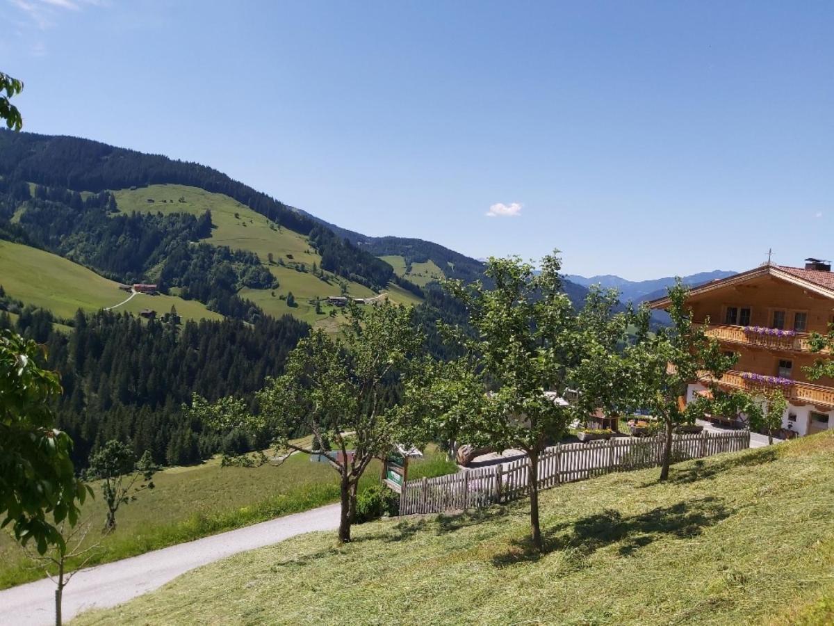 Prädastenhof Auffach Exterior foto